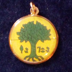 04  L'ALBERO