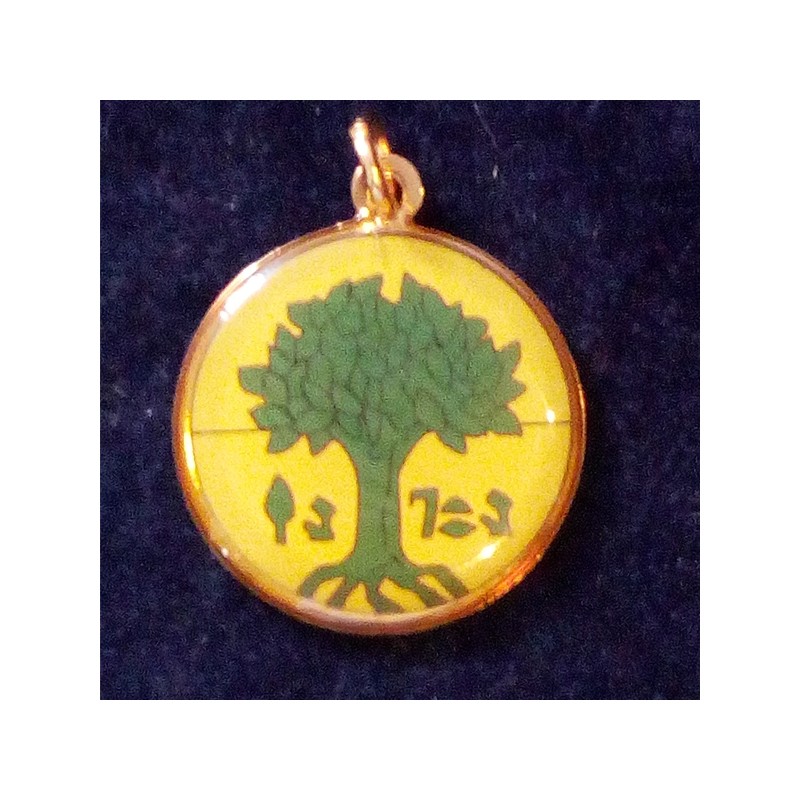 04  L'ALBERO