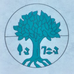 04 L'ALBERO