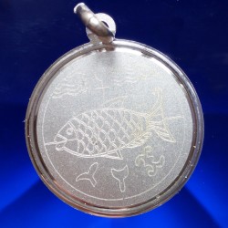 10: IL PESCE