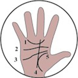 12 LA MANO