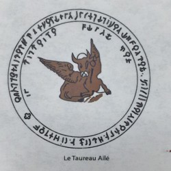 61 IL TORO