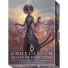 ANGELARIUM ORACLE OF EMANATION DI ELY MINAYA & PETER MOHRBACHER