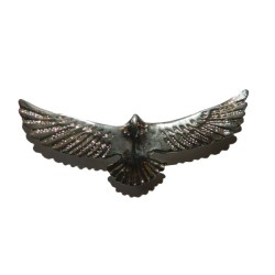 AQUILA ARGENTATA