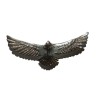 AQUILA ARGENTATA