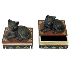 BOX GATTO MAGICO SU LIBRO