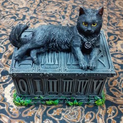 BOX PORTA TAROCCHI GATTO MAGICO