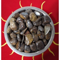 BRONZITE BRASILE  BURATTATA 1PZ