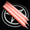 CANDELA ROSA 1  PZ.