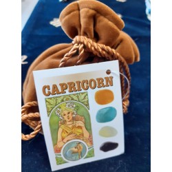 CAPRICORNO BORSETTA CON 4 PIETRE DEDICATE