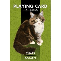 CARTE DA GIOCO GATTI