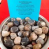 DIASPRO SIlVER SUD AFRICA BURATTATO 1 PZ