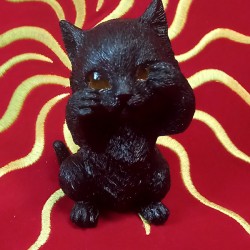 GATTO NON VEDO   H. CM 8
