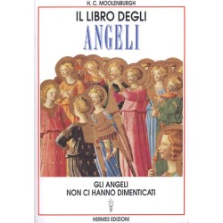 IL LIBRO DEGLI ANGELI