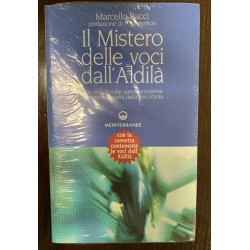 IL MISTERO DELLE VOCI DALL'ALDILA'