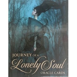 JOURNEY OF A LONELJ SOUL DI ANNA MAJBORODA E CHERLES HARRNGTONON