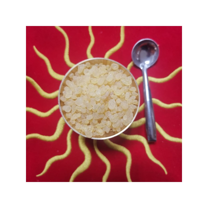 MASTICE GRECO IN GRANI 100 GR.