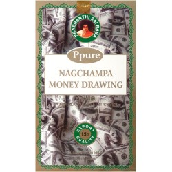 NAGCHAMPA MONEY MONEY STICK - BOX DA 12 CONFEZIONI