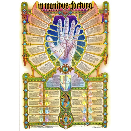 POSTER MANIBUS FORTUNA CM.50X35.
