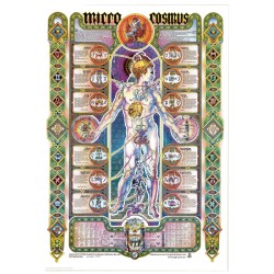 POSTER MICRO COSMUS - CM,70X100