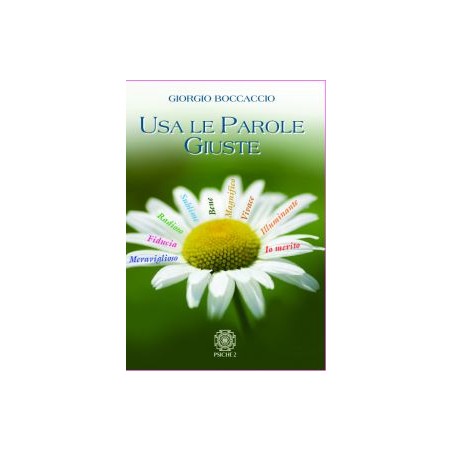 USA LE PAROLE GIUSTE